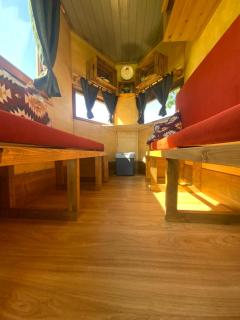 Pferdewagen Freya - 8