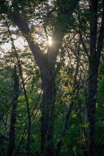 Marbella Retreats Casa Azul - 1