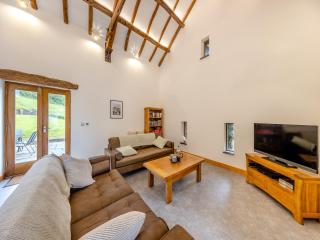 Ty Carreg - Llanbadarn-fawr - 7