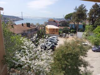 Breathtaking Bosphorus View Amidst Green Hills - Istanbul - 7