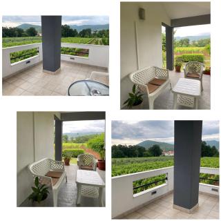 Rooms Nikola Rule Ostojic - Međugorje - 6