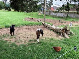 Jolie maison à la ferme, Jossigny, 10 min Disney - Jossigny - 9