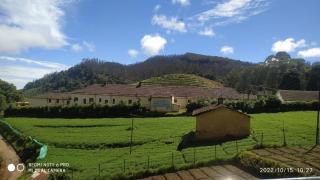 Forest Gate villa - Ooty - 9