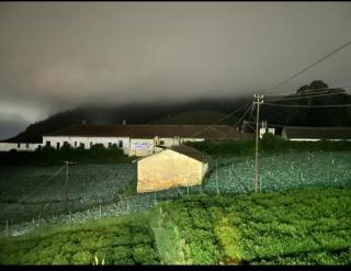 Forest Gate villa - Ooty - 2
