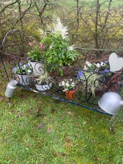 Cabane Insolite Cosy - 1