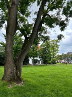 Am Dollespark - Bodenheim - 3