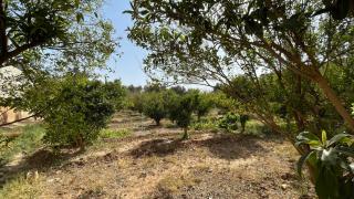 Oasis de Sérénité - Villa Spacieuse avec Jardin - Taroudant - 3