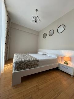 Felix Accommodations Parhon - Iaşi - 8
