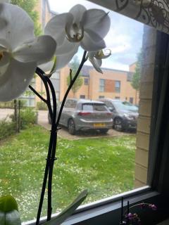 Comfy Room with Private Bathroom - 2