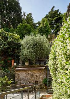 Giardino segreto, in centro - Trieste - 6