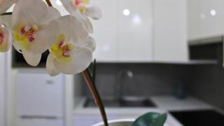 MarketHome Mareverde Studio - Adeje - 4