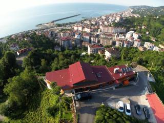 Sarı Köşk Hotel - Rize - 9