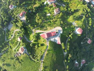 Sarı Köşk Hotel - Rize - 8