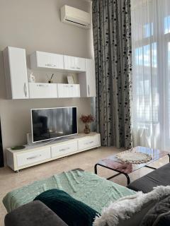 Eox Apartments Copou near Parhon - Iaşi - 6