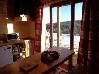 Chalet en bois tout confort - Valleraugue - 1