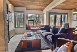 Snow Gums apartment 3 alpine -Getaways - Dinner Plain - 7