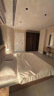 Al-Olaya luxury apartment - Riade - 0