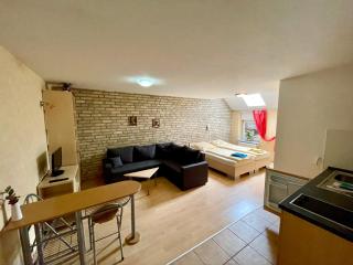 Sauwohlfühlhof - Ferienhof Winkelkötter - 5