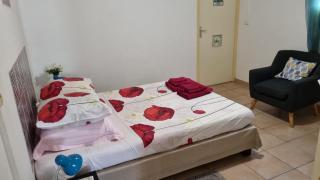 Hibiscus et Miro - Ducos - 8