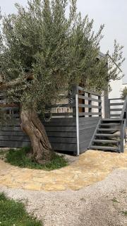 Olive House Pirovac - 5