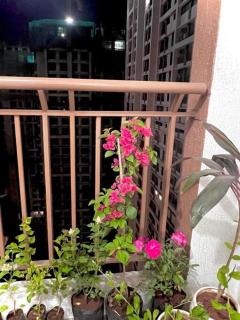 hillview comfy flat in Dahisar - Bombay - 7
