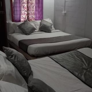 Bluemoon homestay coorg madikeri - Madikeri - 9