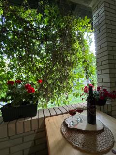 Apartman Maša - - 2