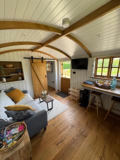 Luxury Shepherd's Hut - East Sussex - - 4