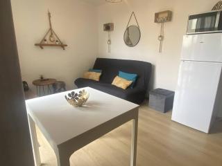 Appartement rénové en bord de mer avec terrasse, accès direct à la plage, parking privé, WIFI - FR-1-782-62 - Le Barcarès - 9