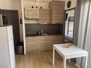 Appartement rénové en bord de mer avec terrasse, accès direct à la plage, parking privé, WIFI - FR-1-782-62 - Le Barcarès - 5