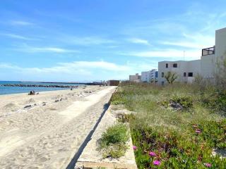 Appartement rénové en bord de mer avec terrasse, accès direct à la plage, parking privé, WIFI - FR-1-782-62 - Le Barcarès - 3