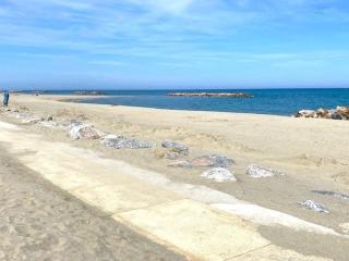 Appartement rénové en bord de mer avec terrasse, accès direct à la plage, parking privé, WIFI - FR-1-782-62 - Le Barcarès - 2