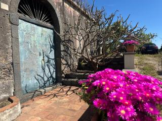 Villa Carlo - Giarre - 1