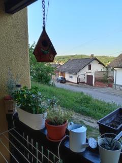 Apartman IVANA - Vrdnik - 8