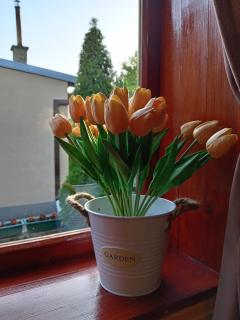 Apartman IVANA - Vrdnik - 9