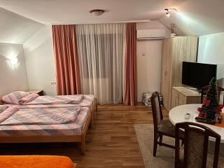 Studio Milisavljevic - Sokobanja - 3
