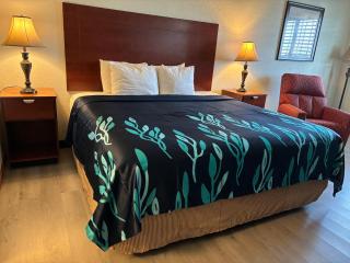 Hotel Bien Venido - Pearsall - 5