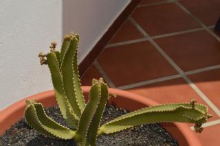 Apartamento PLAYA HONDA I Home Beach - Playa Honda - 2