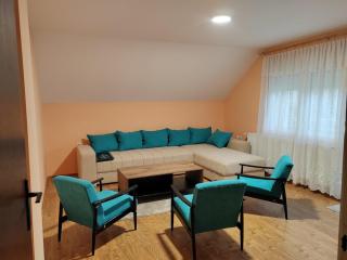 Apartmani Petrović - Soko Banja - 2