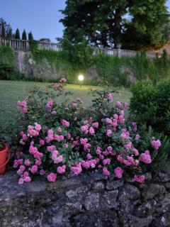 Villa Badia a Ruoti - 1