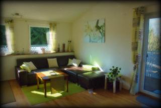 Ferienwohnung Walker - Neudingen - 1