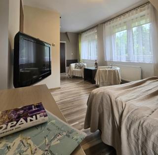 Willa Jagiellonka apartamenty w centrum, parking - 4