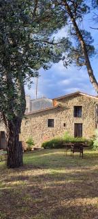 Il Fienile tra gli Ulivi - Lamporecchio - 0