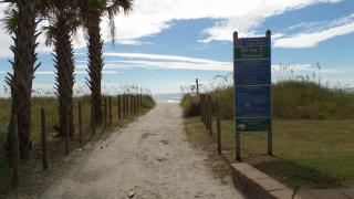 Waipani 17D - Southern Coast Vacations - Myrtle Beach - 8