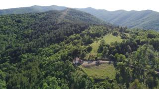Šumska kuća Ilija - Bogutovac - 9