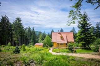 Sonnenhäusle - Natur. Fernblick. Panorama-Sauna. - Sasbachwalden - 4