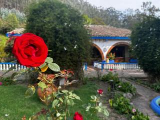 Finca San Pedro -Alojamiento Campestre y Reserva Natural- - Sogamoso - 7
