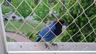 Espetacular Flat no Mountain Village - 1