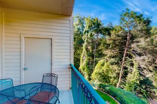 Summit Manor Condos Unit B3062 - Gatlinburg - 3