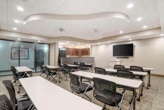 Best Western Plus Greenville I-385 Inn & Suites - Greenville - 4